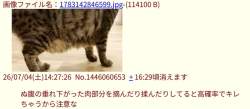 57115 B