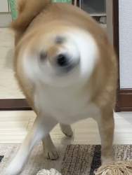 60552 B