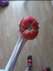 113773 B