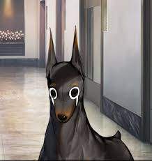 6678 B