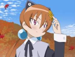 33591 B