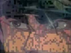 5082557 B