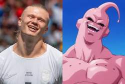 82684 B