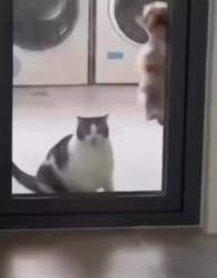 1334271 B