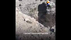 7338827 B