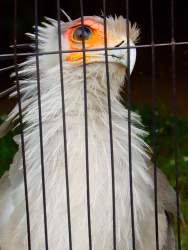 792539 B