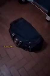 511509 B