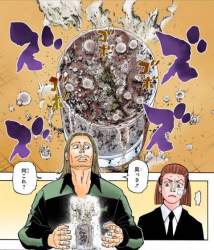 72981 B