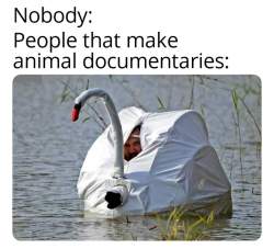 177507 B