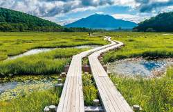 533788 B