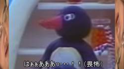 65799 B