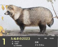 311832 B