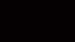 5321613 B