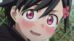 43182 B