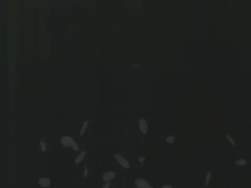 5760055 B