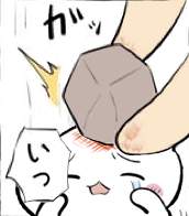 29888 B