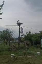 1180970 B