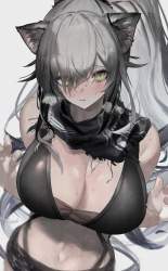 4315196 B