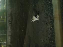 2244302 B