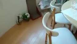 1048768 B