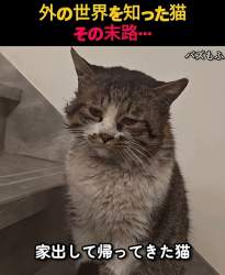 125555 B