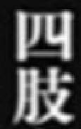 9776 B