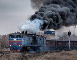 51269 B