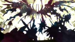 169561 B