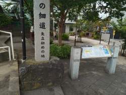 3583146 B