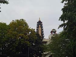 3308995 B