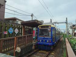 3204471 B