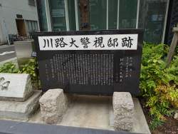 4255223 B
