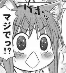 33306 B