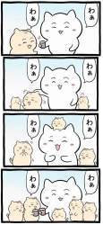 97126 B