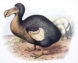 23097 B
