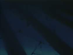 5721552 B