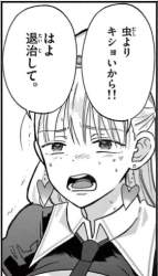 44074 B
