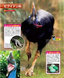 434394 B