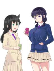 80243 B