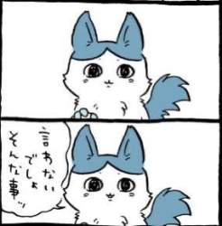 16919 B