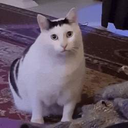 28992 B