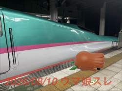 303219 B