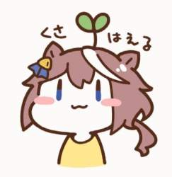 26438 B