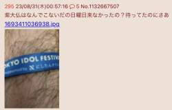 47687 B