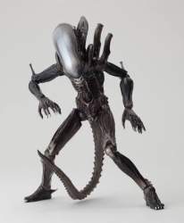 14260 B