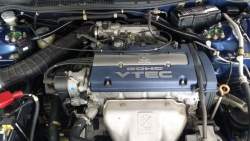 72981 B