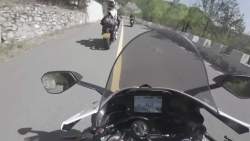 3833975 B