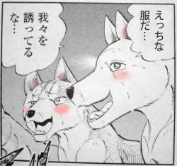 52767 B