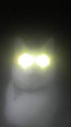 117133 B