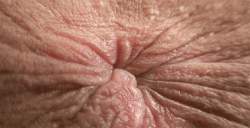 1022854 B